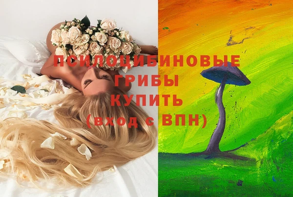 метадон Алексин