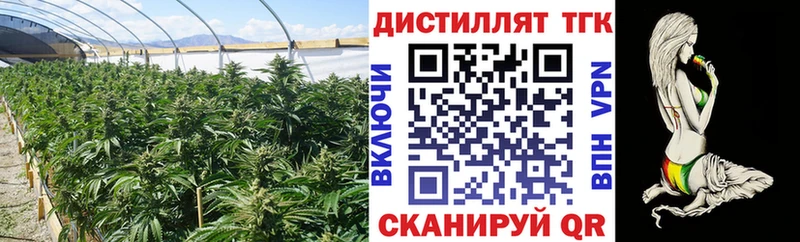 ОМГ ОМГ зеркало  Гусь-Хрустальный  Дистиллят ТГК Wax 